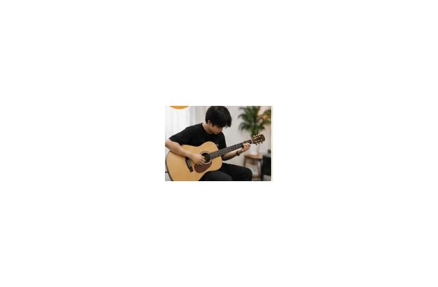 Guitar